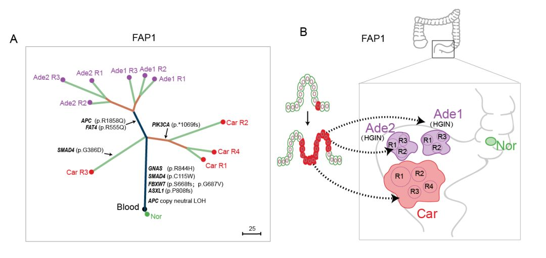 6c317fd89f634b389dc121bcd5ec40bd.png 3.png