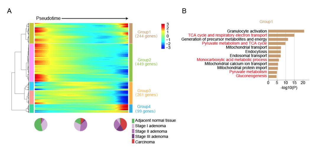 90b74fbf6bcf4770bb811a644310dd5a.png 5.png