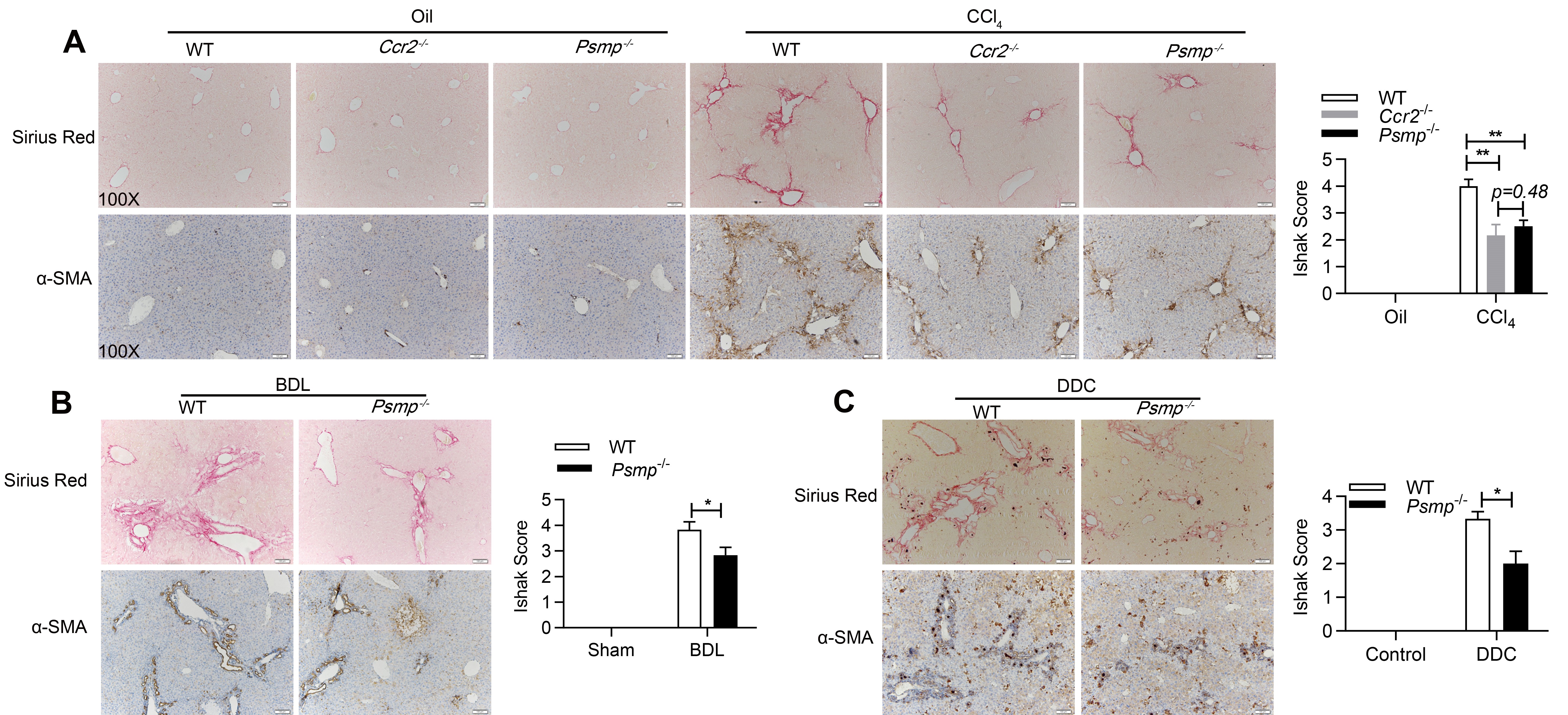 c02ca2296a11452da7adf59e94228d03.jpg 3.jpg