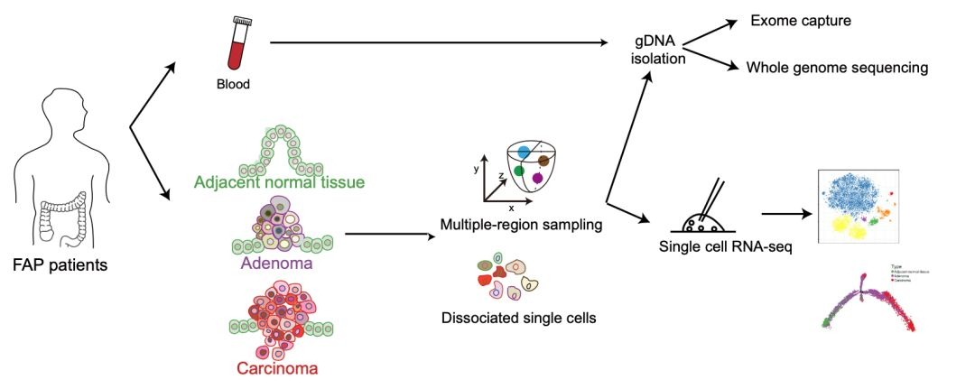 cf762c24047840f08c093e3f64e479ea.png 1.png