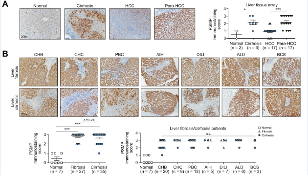 e27b6087b3984574b72e980a029315e5.png 24.png