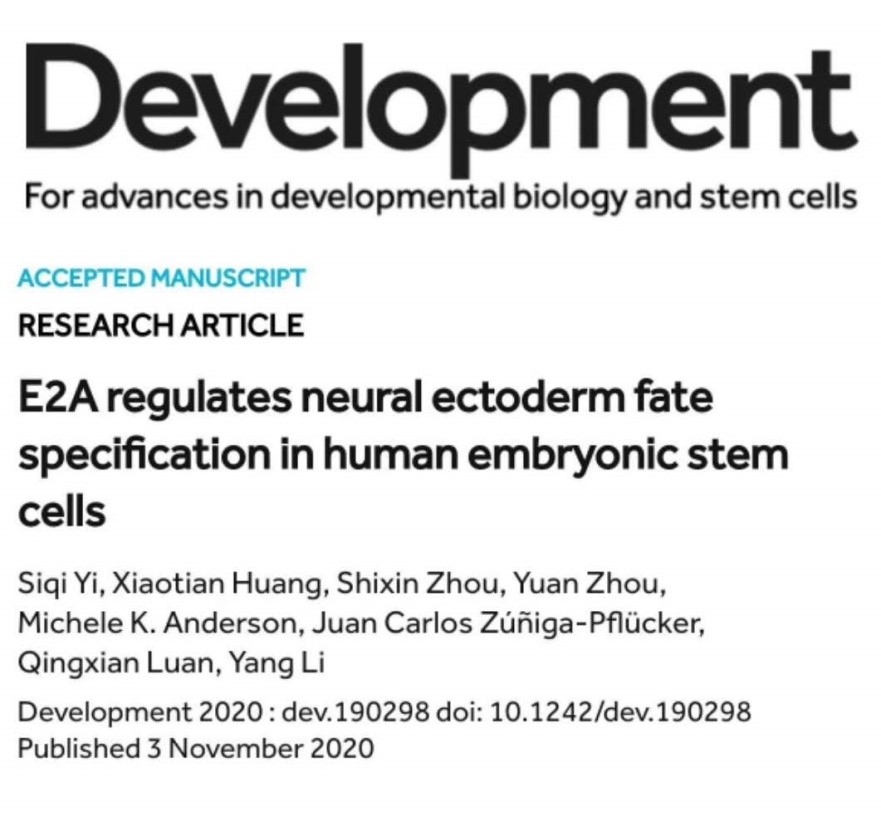 535e22084608463a98134489503a0412.jpg 535e22084608463a98134489503a0412.jpg