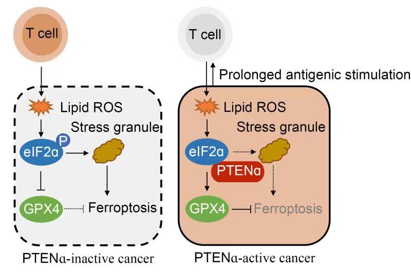 c79e27a5c864488aa3d0e42d3db4ea3e.jpg 0827.jpg