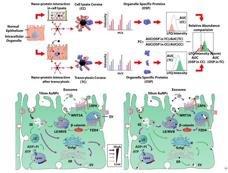 c3854b395d644b419bcd0f99cdf39fe0.png 1.png