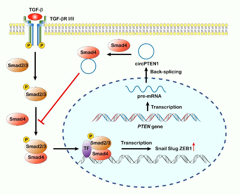 81be4b50f7e44808bfce21095800a932.jpg 81be4b50f7e44808bfce21095800a932.jpg