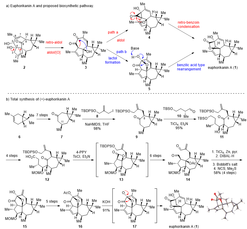 fe8c4bb8c84b4ecf8e6e198a2ef379b2.png 1.png
