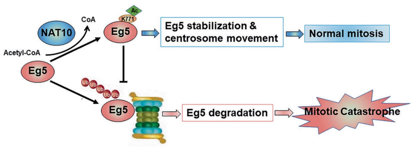 2920485ea8524d2a98b8ec2fc93f7889.jpg 2920485ea8524d2a98b8ec2fc93f7889.jpg