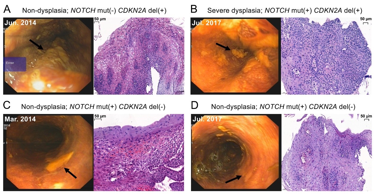 9285d08dee264263aa96422a51994f84.jpg 9285d08dee264263aa96422a51994f84.jpg