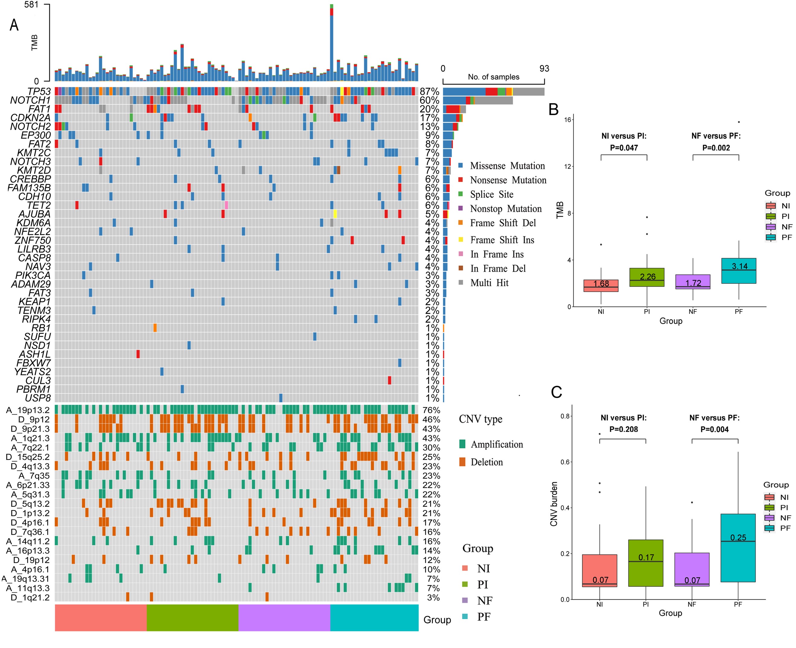 d9e9dccc4279403e915de33e7777c771.jpg d9e9dccc4279403e915de33e7777c771.jpg