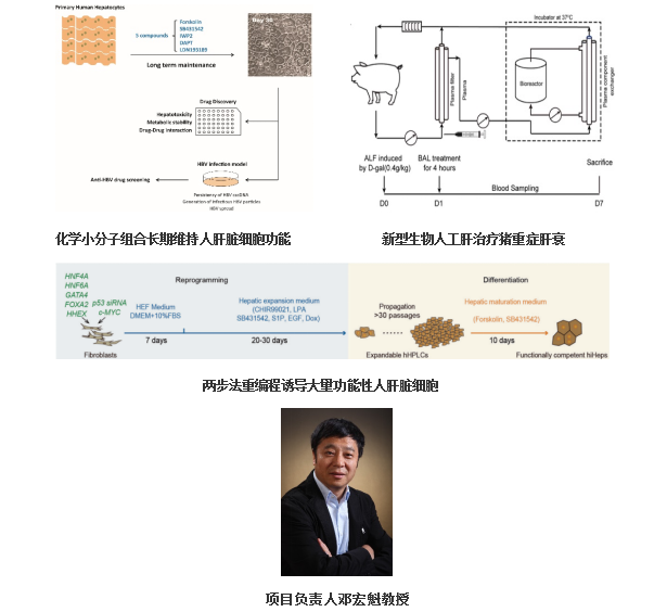 5a63172ea9b34b4783c50286bd5c98c6.png 5a63172ea9b34b4783c50286bd5c98c6.png