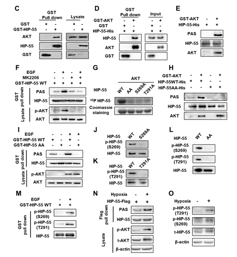 e4333d6e00a84951b31a167c18a65081.png e4333d6e00a84951b31a167c18a65081.png