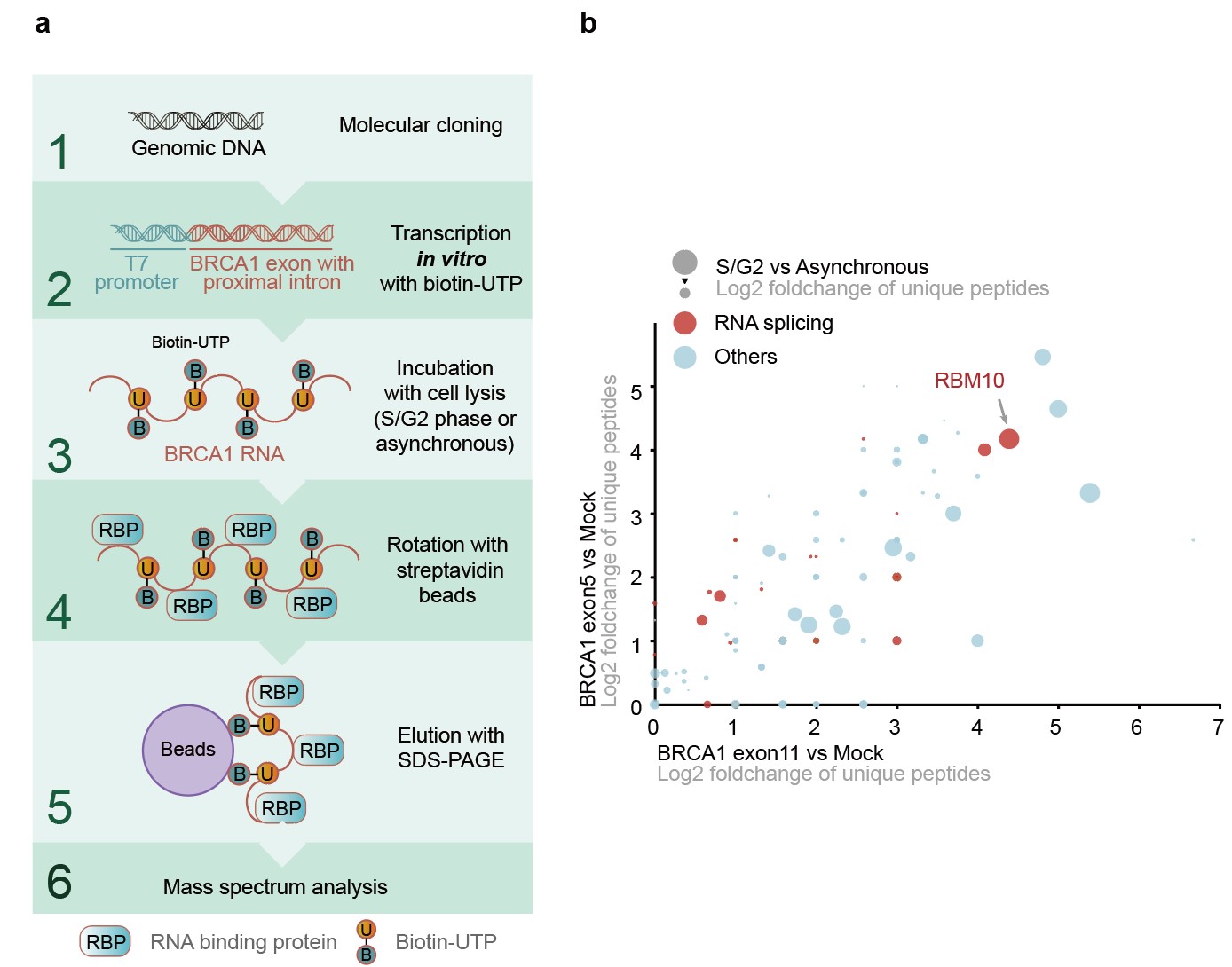 5467668a256f490bb453e89de77829cc.jpg 5467668a256f490bb453e89de77829cc.jpg