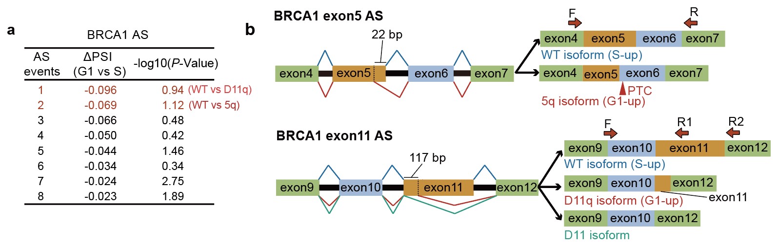 5939592f0e384f0992244933ed9d9e75.jpg 5939592f0e384f0992244933ed9d9e75.jpg
