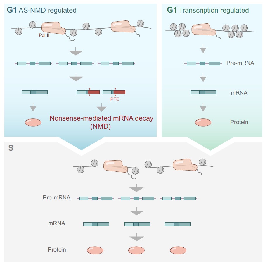 6f01cc9855194208b33537baa82a71c4.jpg 6f01cc9855194208b33537baa82a71c4.jpg