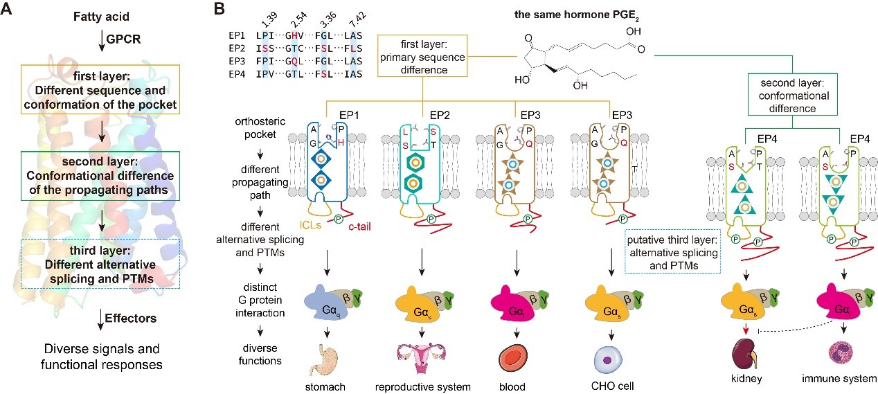 62b5d2d32c5c4be5a17c8f391a7852e4.jpg 62b5d2d32c5c4be5a17c8f391a7852e4.jpg