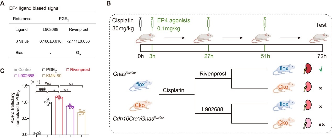 6ff3f96d7eaa4a47b8d0ff75fa1ab9d4.jpg 6ff3f96d7eaa4a47b8d0ff75fa1ab9d4.jpg