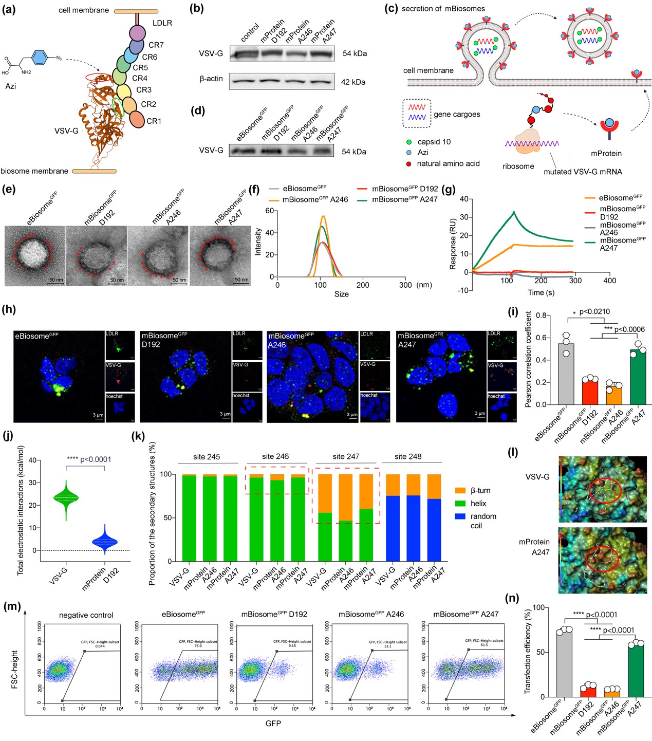 0e8b4f02fd4e4bfbbc543e25617af4d5.jpg 0e8b4f02fd4e4bfbbc543e25617af4d5.jpg