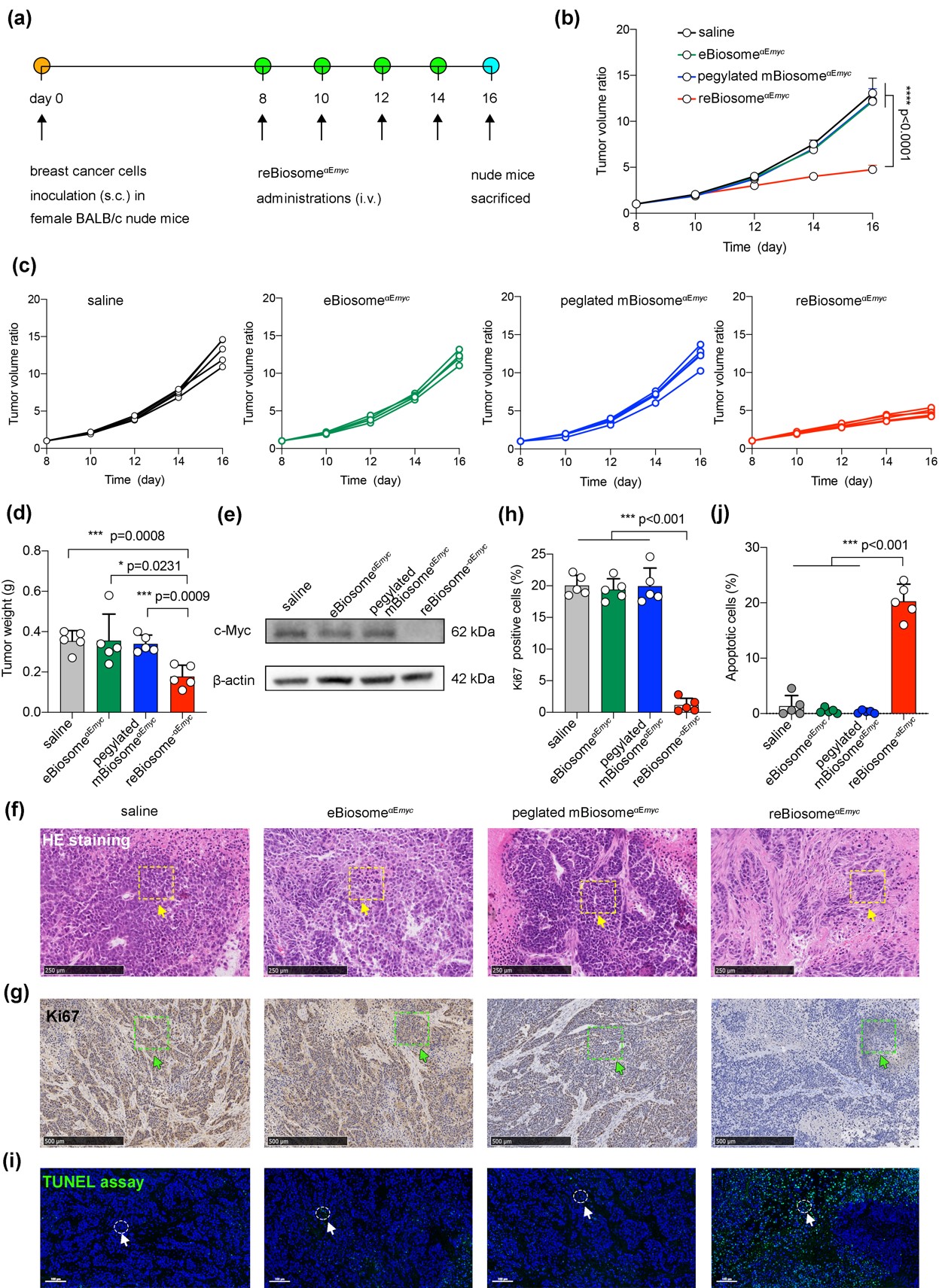 1baf2a788acc4460b80e17f8c0e4ef31.jpg 1baf2a788acc4460b80e17f8c0e4ef31.jpg