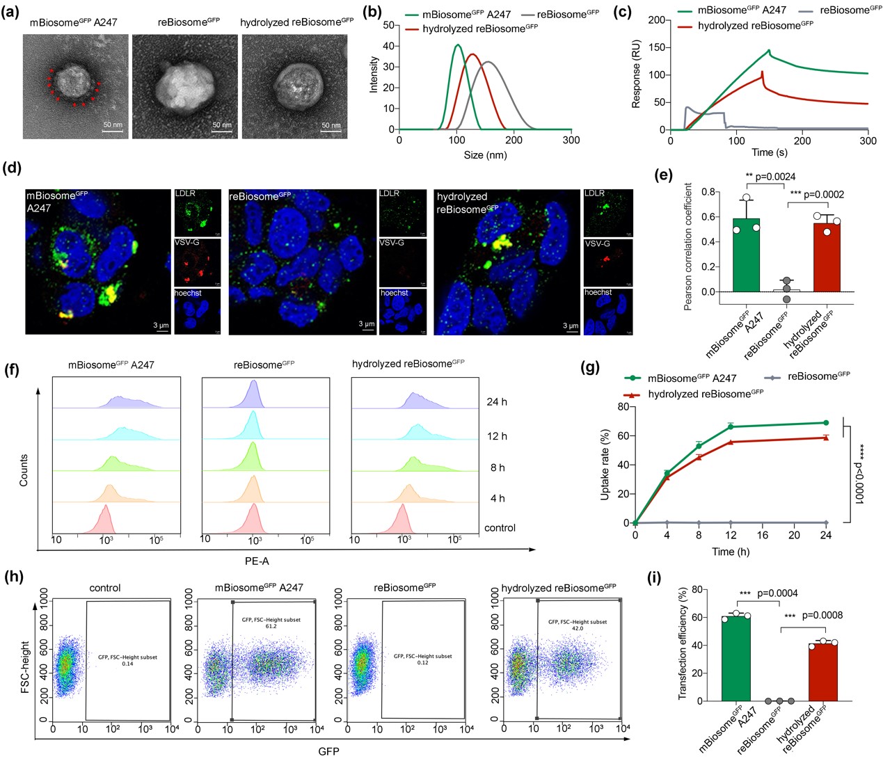 52ba41782b57406ca5bd6a7482823e33.jpg 52ba41782b57406ca5bd6a7482823e33.jpg