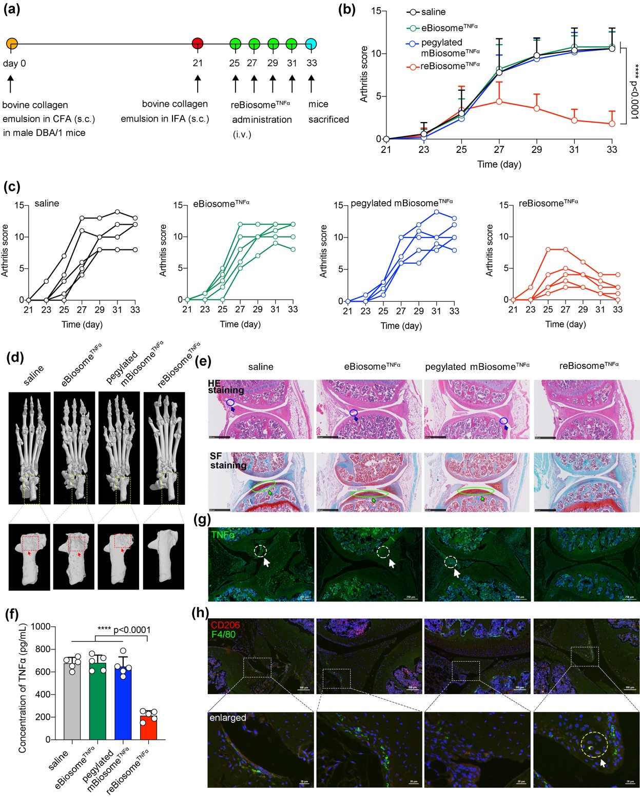 62661656d5694b08944e5f8a5ed9a1af.jpg 62661656d5694b08944e5f8a5ed9a1af.jpg