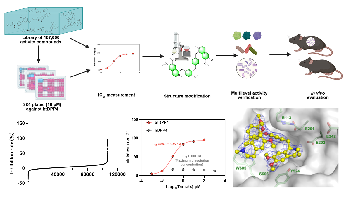 997175f97ad24aa3a0d48808355b1e52.png 997175f97ad24aa3a0d48808355b1e52.png