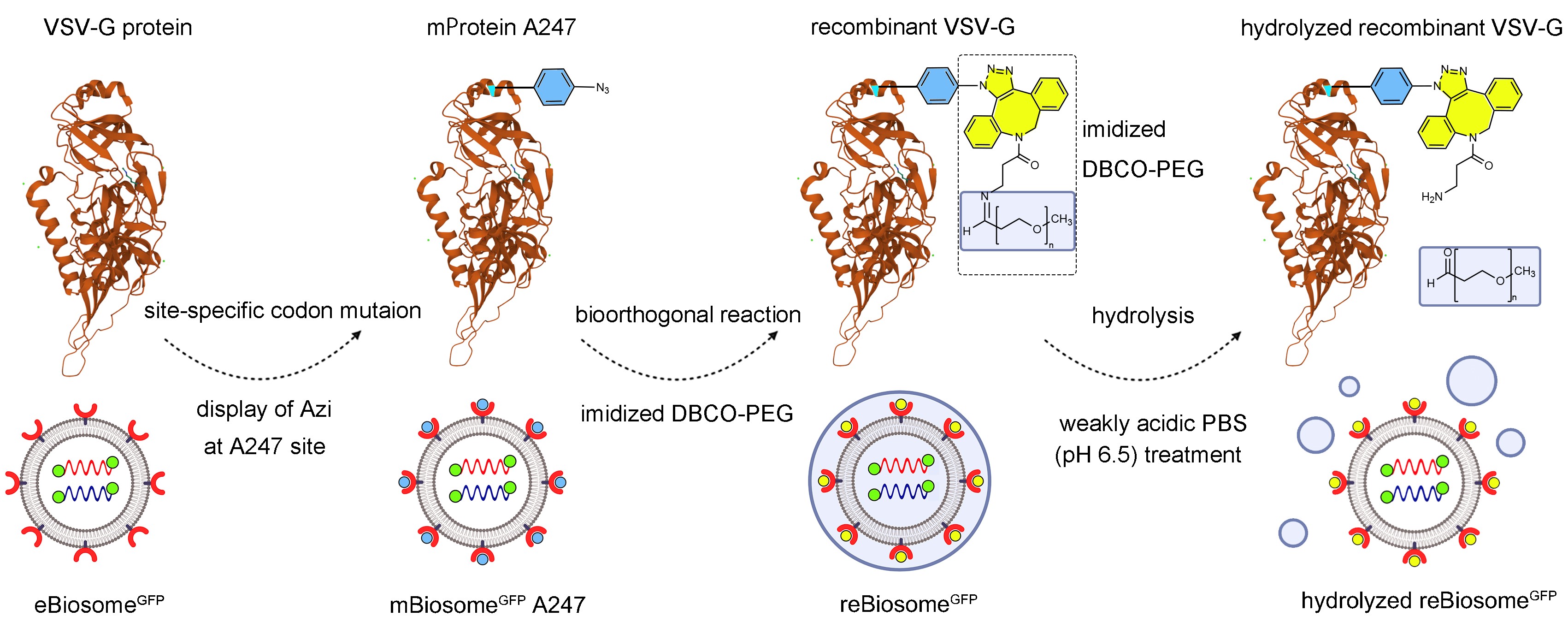 9ee391653e7345f781b487b14463b22f.jpg 9ee391653e7345f781b487b14463b22f.jpg
