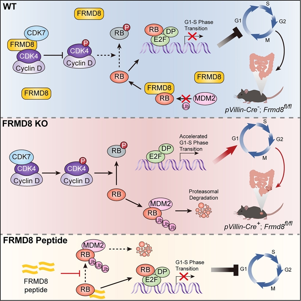 d14df4020f4b49bd8e0305cd84579814.jpg d14df4020f4b49bd8e0305cd84579814.jpg