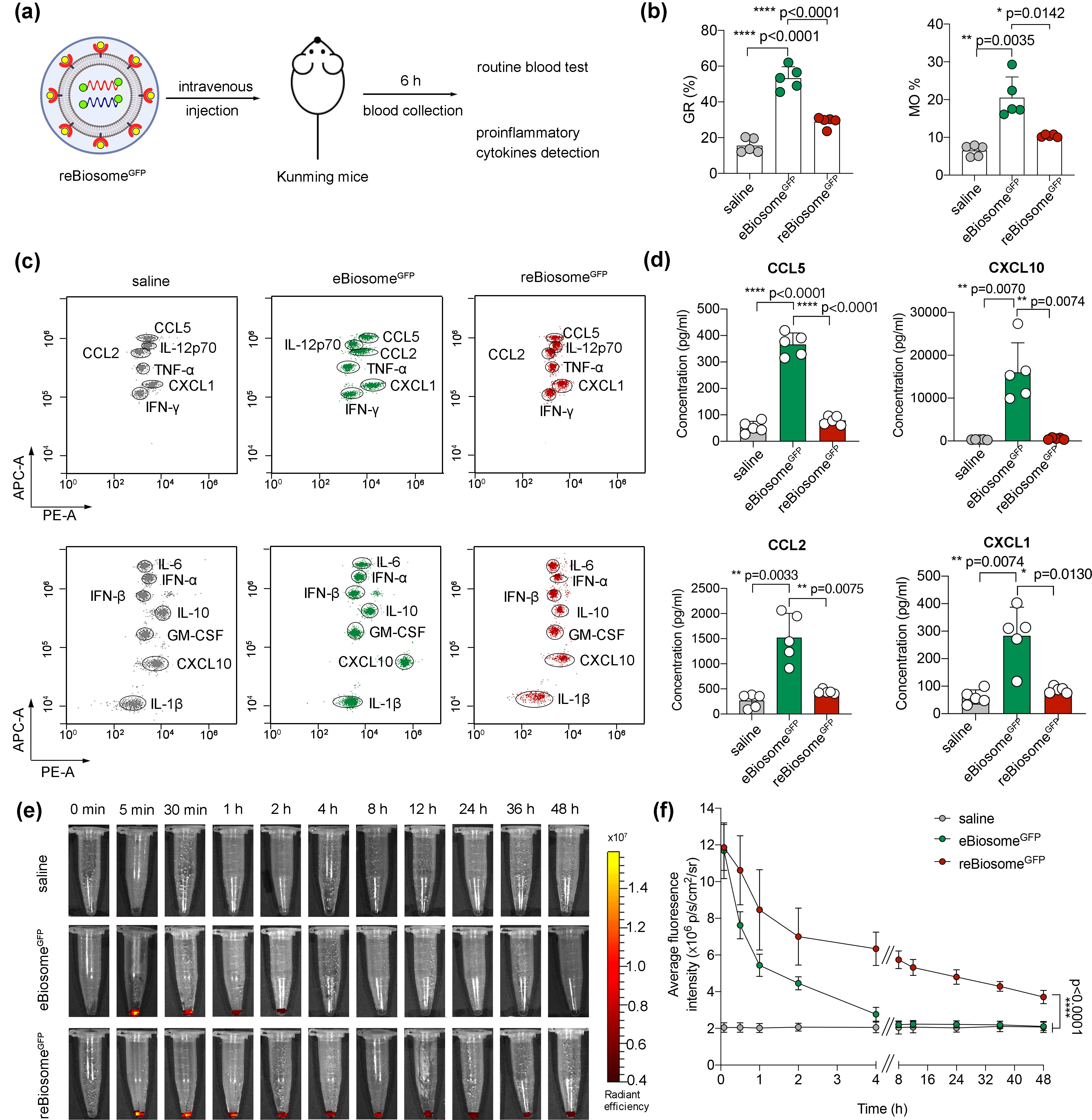 f6f6d4ceab634306a3e2a9127b4a7894.jpg f6f6d4ceab634306a3e2a9127b4a7894.jpg