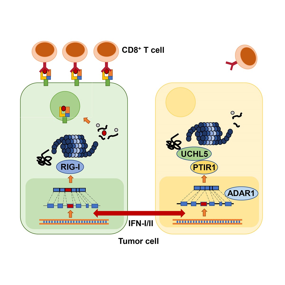 477b3ec2450b40fcb08be5190b73861f.jpg 477b3ec2450b40fcb08be5190b73861f.jpg