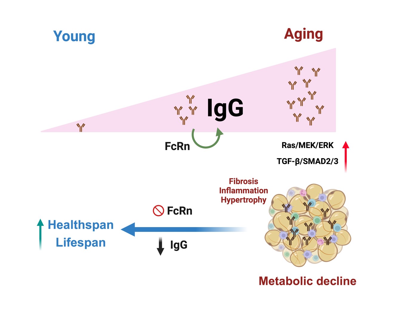 21e15745ea524a99899b9ee194dd6f4b.jpg 21e15745ea524a99899b9ee194dd6f4b.jpg