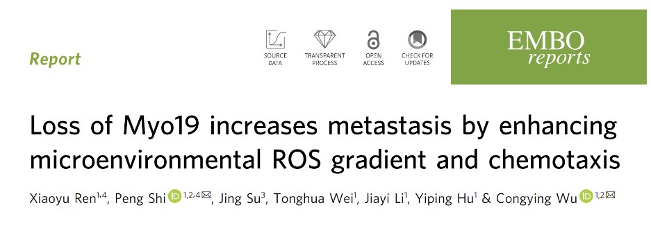 773dd45465d54889923c037051ad81cc.jpg 773dd45465d54889923c037051ad81cc.jpg