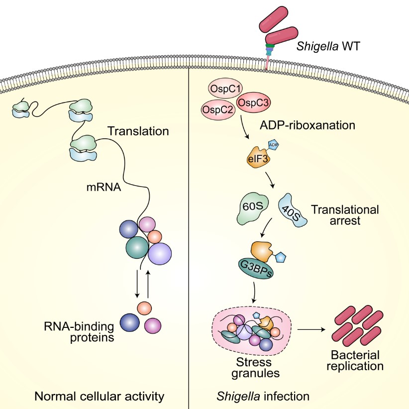 7dd24cb000554992b09515cbce10a475.jpg 7dd24cb000554992b09515cbce10a475.jpg