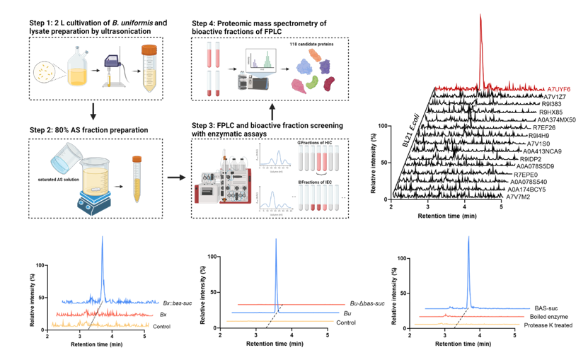 745d0d4ee1c649db858a6e799041d857.png 745d0d4ee1c649db858a6e799041d857.png