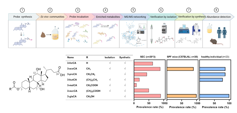 c4ad18c065c24874be294ddf7ea0f01f.png c4ad18c065c24874be294ddf7ea0f01f.png
