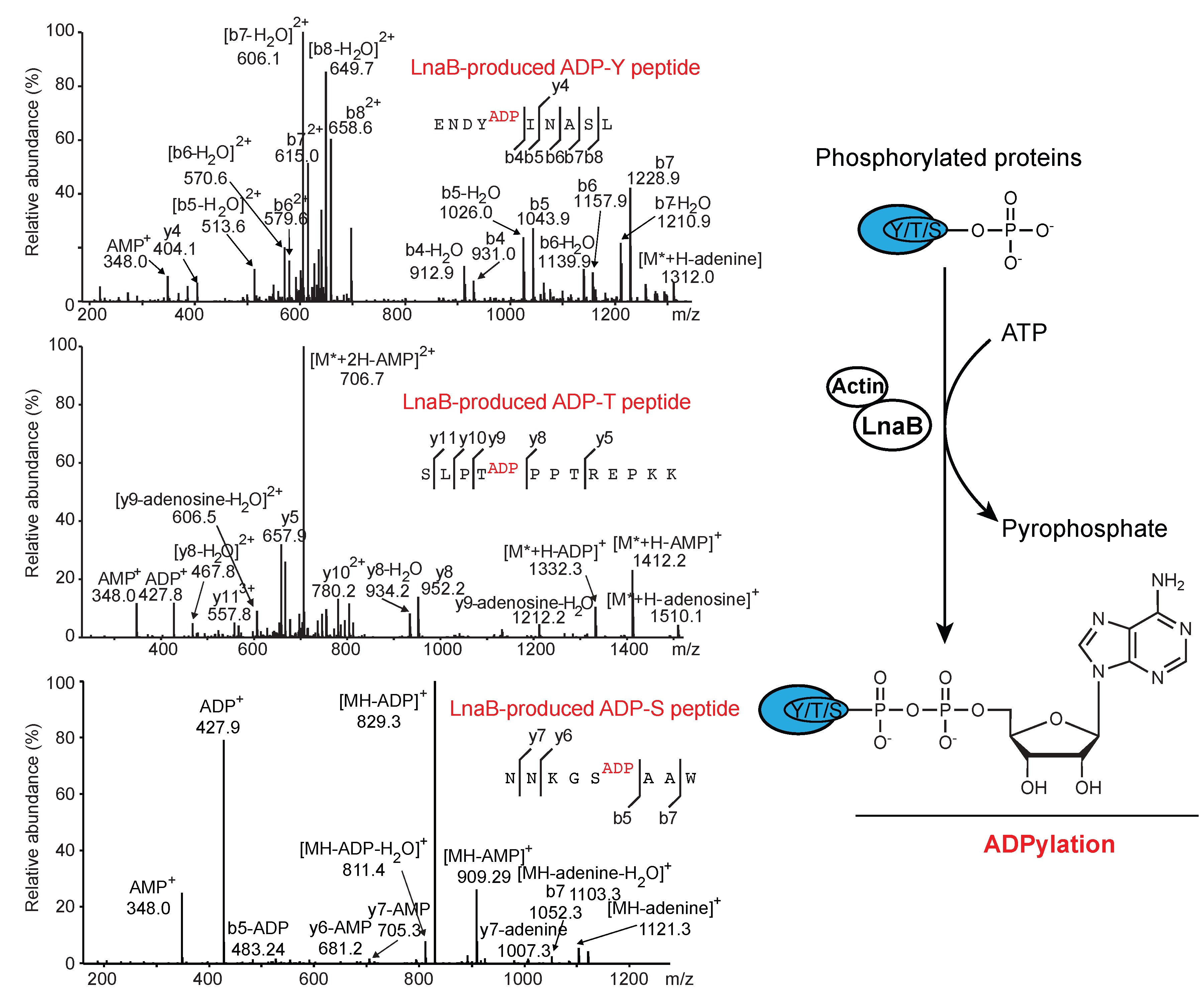 4dcdfb3185404978a33966232f9077d3.jpg 4dcdfb3185404978a33966232f9077d3.jpg