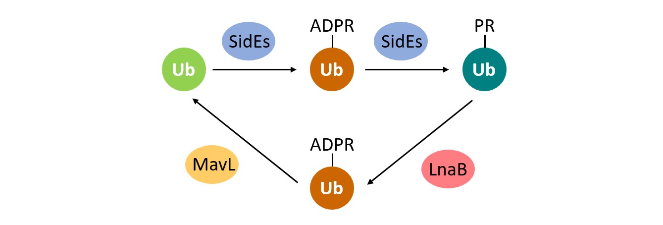 aedba6d4cacf41118157716a35a937b9.jpg aedba6d4cacf41118157716a35a937b9.jpg