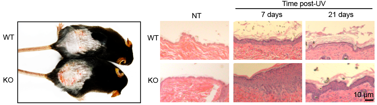 075fb6a8ac3d44e6870f134fe7d89660.png 075fb6a8ac3d44e6870f134fe7d89660.png