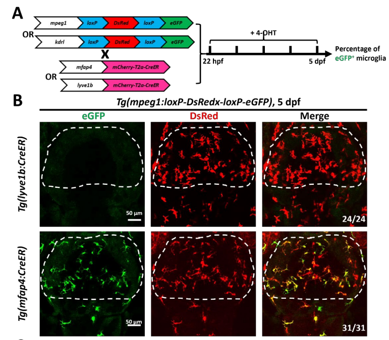 6ac38d4e907c432e9d9556b7c02ce592.png 6ac38d4e907c432e9d9556b7c02ce592.png