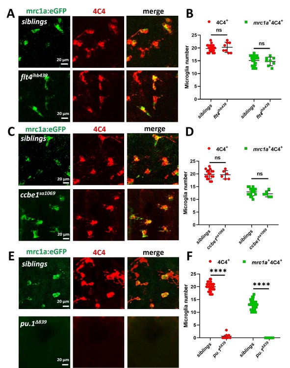 7a0eb11fd8964f5abde7a39904510814.jpg 7a0eb11fd8964f5abde7a39904510814.jpg