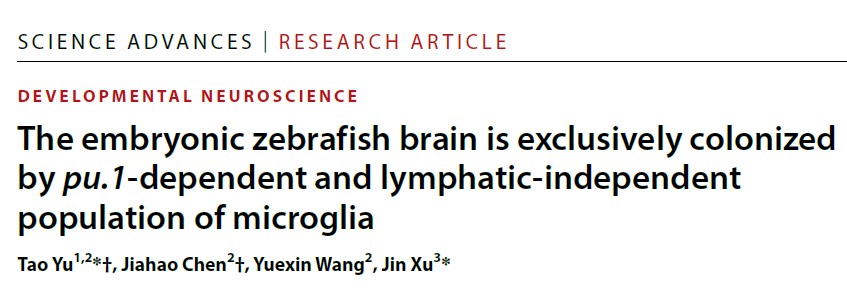 cf81f5b25b81464aaa04ed7e0ebfee7a.jpg cf81f5b25b81464aaa04ed7e0ebfee7a.jpg