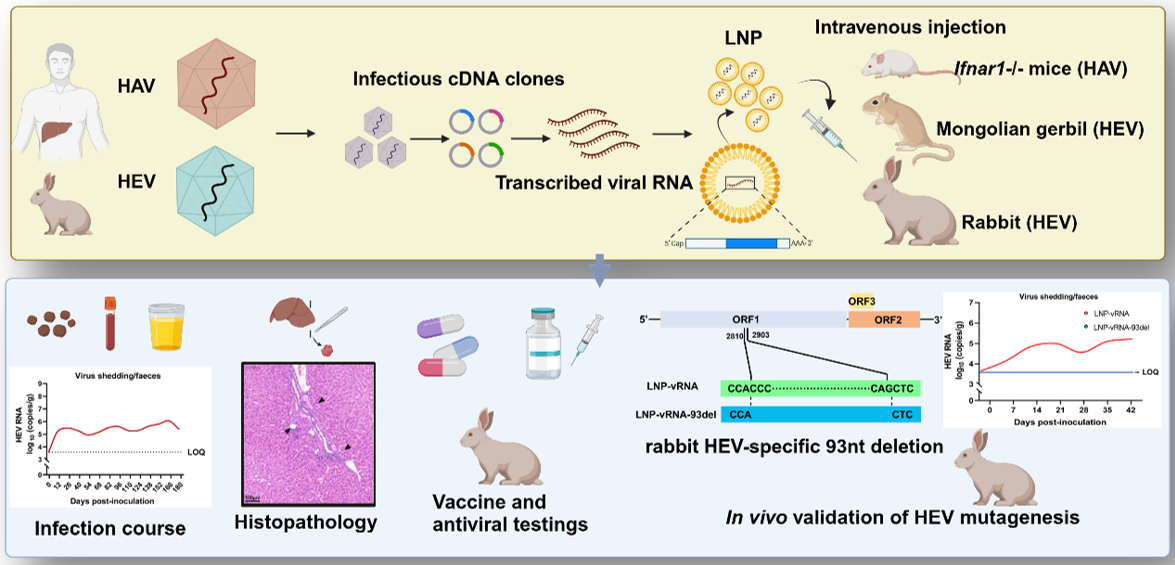 9314db658aee403daa7cf09168a74f3c.png 9314db658aee403daa7cf09168a74f3c.png