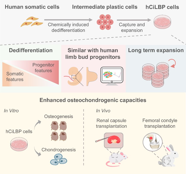 e6980810f3da44ee80ac01ecbf0102cf.jpg e6980810f3da44ee80ac01ecbf0102cf.jpg