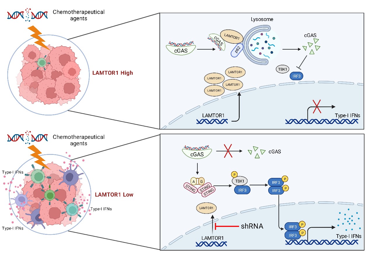 f176f625594d4e56aee73ce203e4c34d.jpg f176f625594d4e56aee73ce203e4c34d.jpg