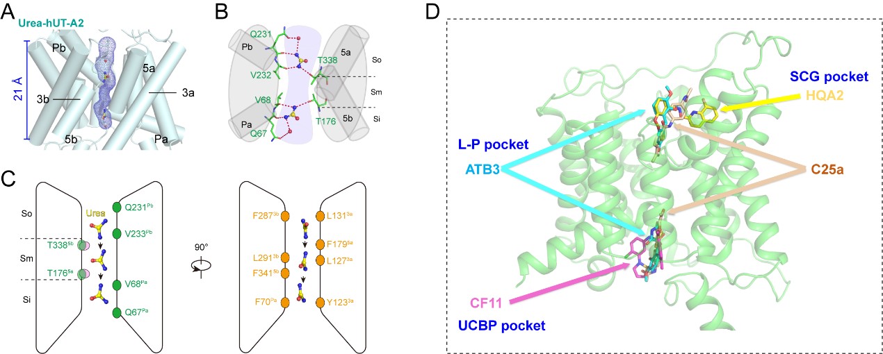 17f42118ecb54a2693b85b1331dcabfb.jpg 17f42118ecb54a2693b85b1331dcabfb.jpg