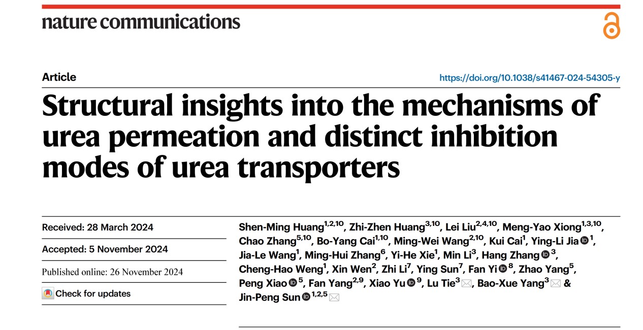 df8520a05a6a4d52a5a334993a1ad68b.jpg df8520a05a6a4d52a5a334993a1ad68b.jpg