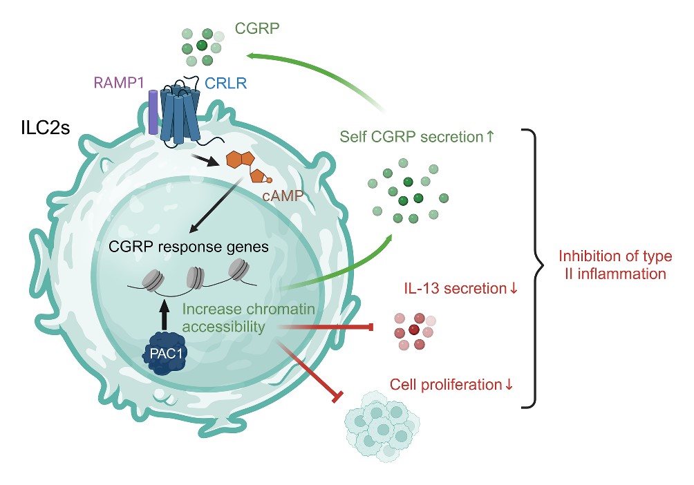 ecf2cf8125cb4fbc89c8001571585209.jpg ecf2cf8125cb4fbc89c8001571585209.jpg