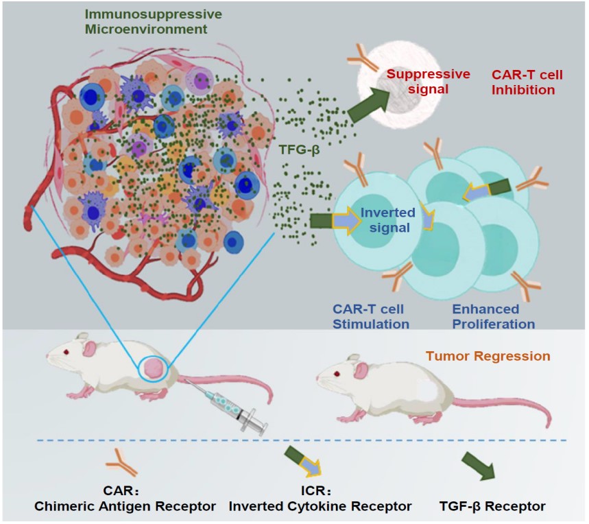 90a0a9a776ee44bc98cba50a1aeb66db.jpg 90a0a9a776ee44bc98cba50a1aeb66db.jpg