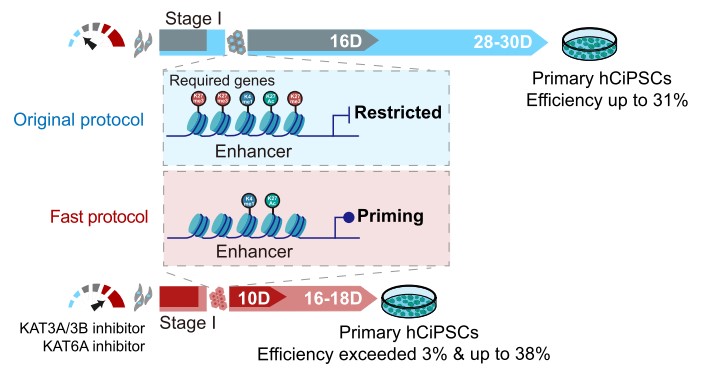 85a8e431526e4d9f99ca578534c02659.jpg 85a8e431526e4d9f99ca578534c02659.jpg