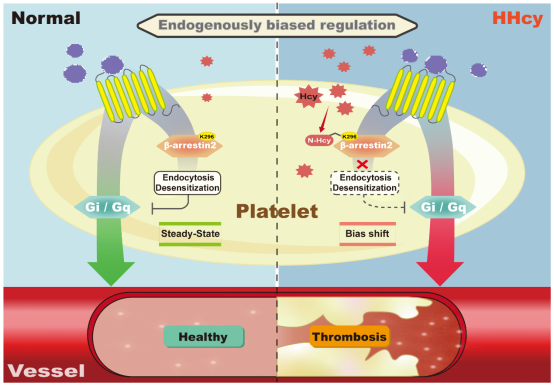 9a50a6029e3041338c07149aa99368ae.png image.png