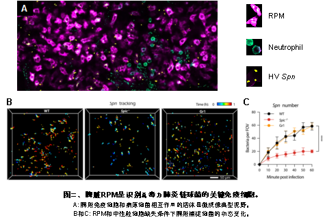 cbd11dde4e38492c909c16b63318a18d.png image.png